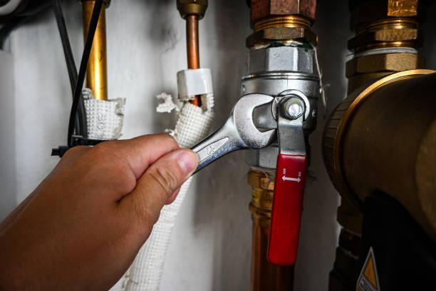 Best Sprinkler Systems  in Inkster, MI